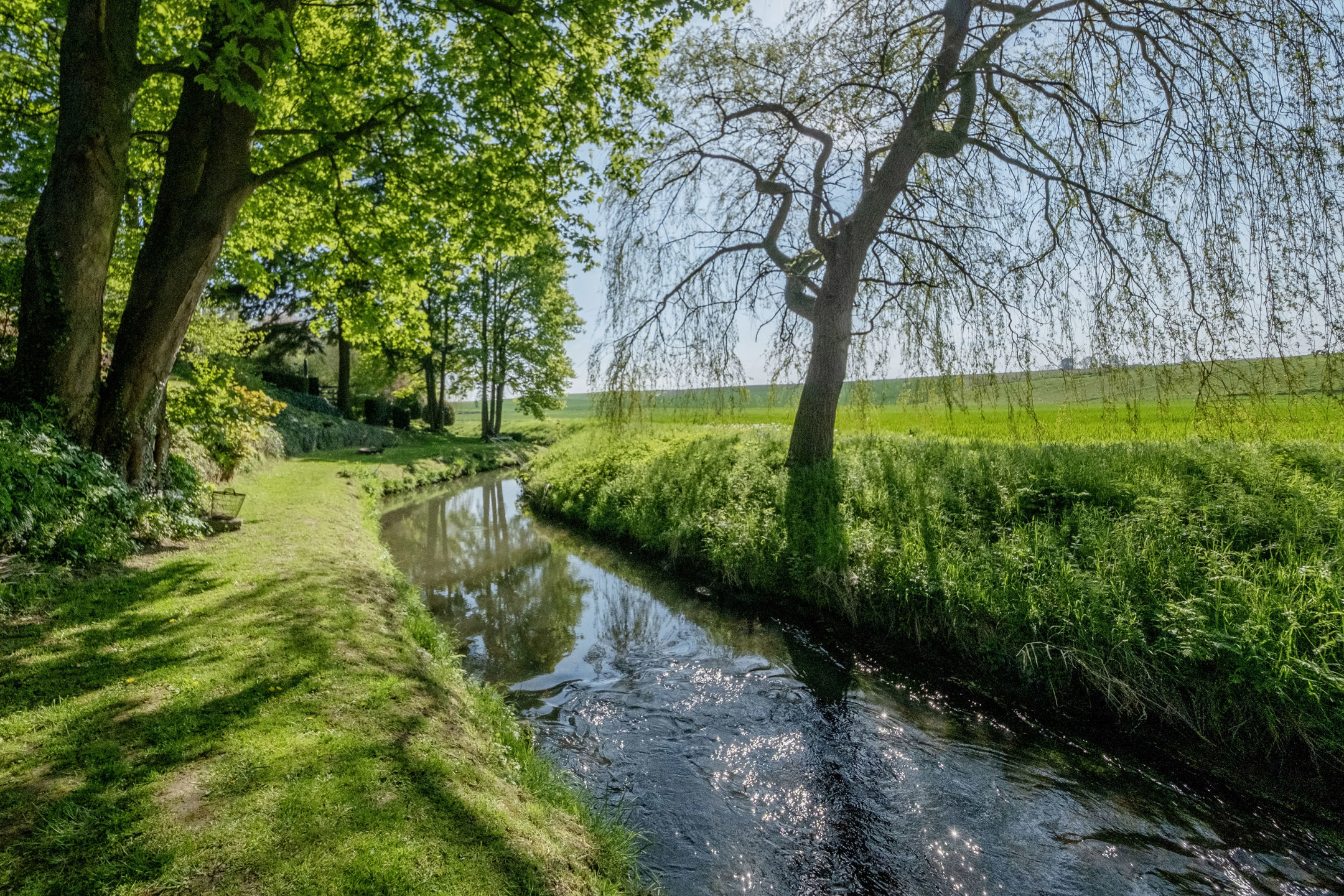 Terrain constructible de 899 m² en vente viagère